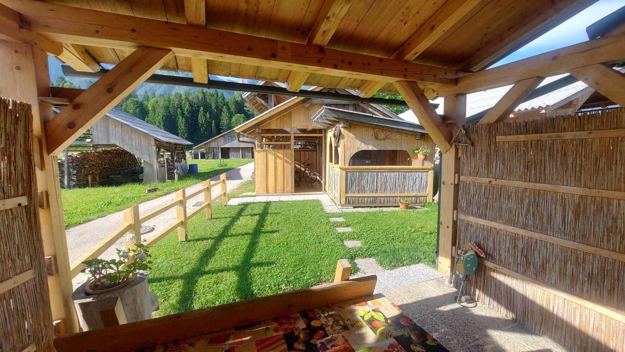 Apartment Stare Bohinj Zewnętrze zdjęcie